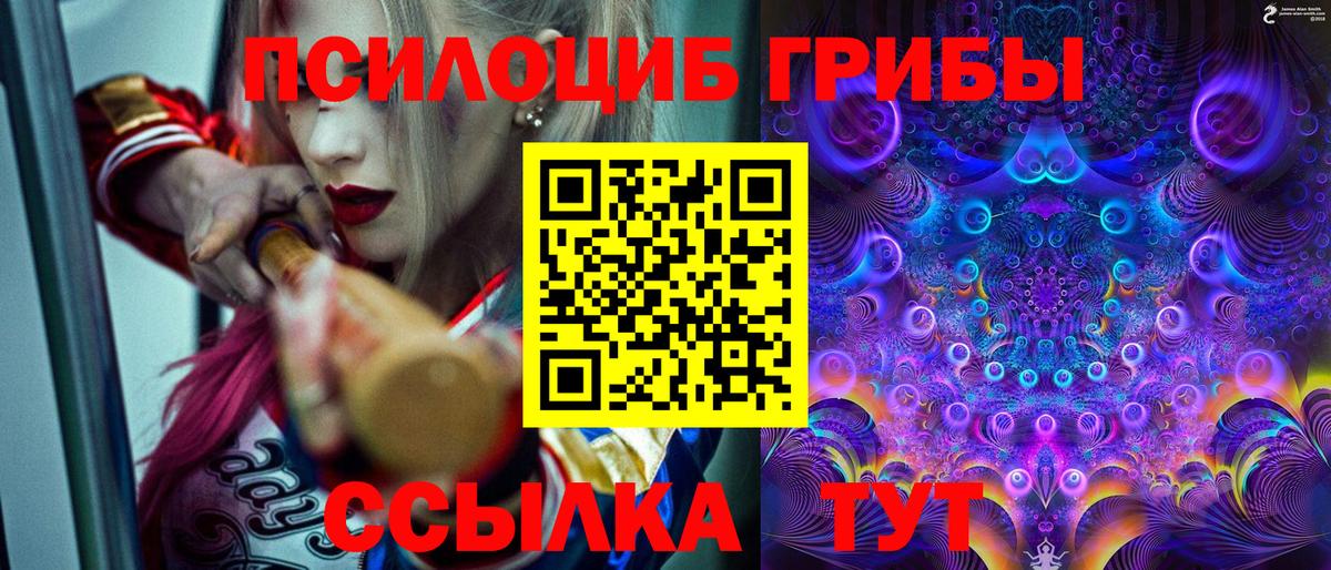 Псилоцибиновые грибы прущие грибы Унеча
